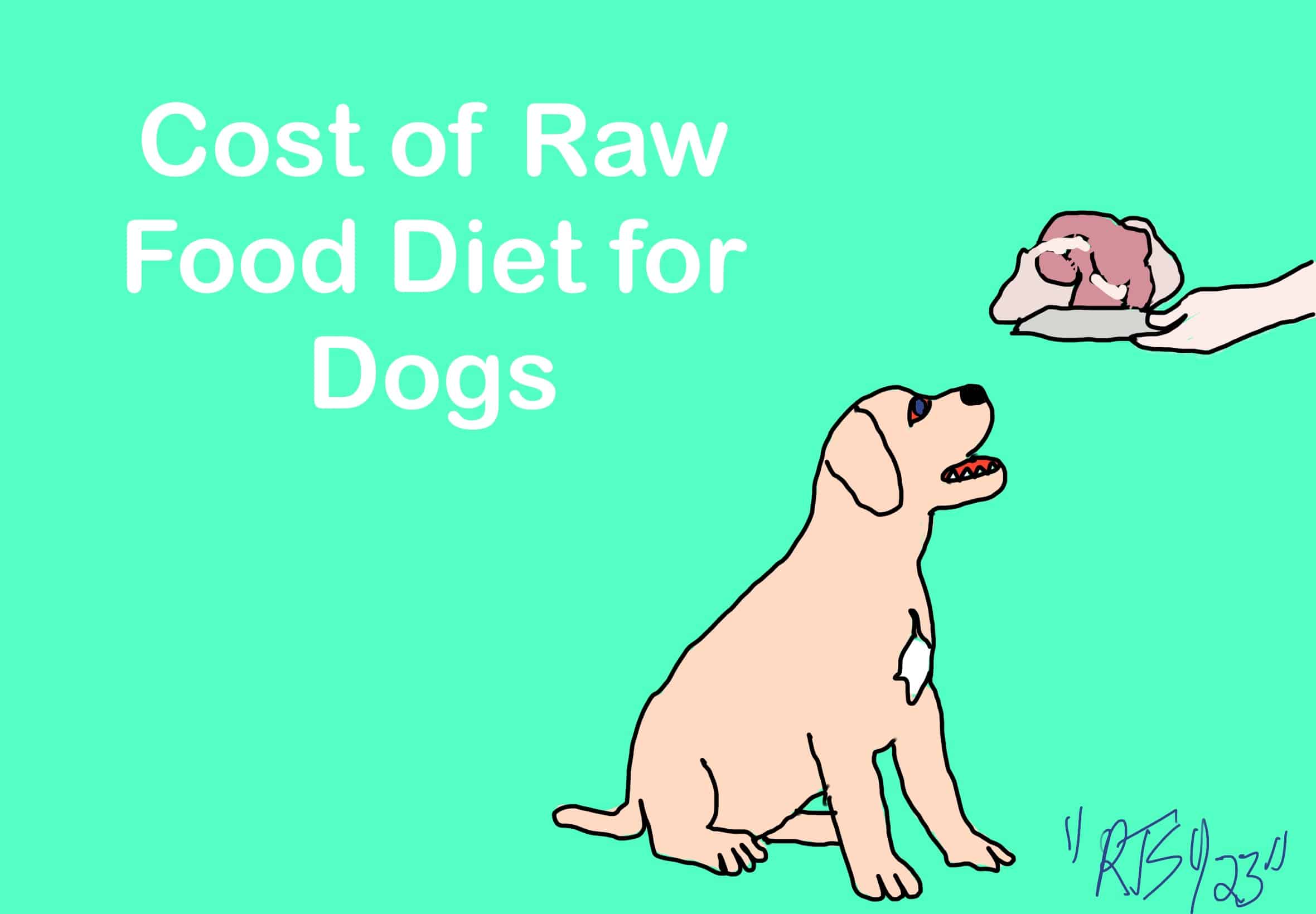 Average cost of raw store food diet for dogs