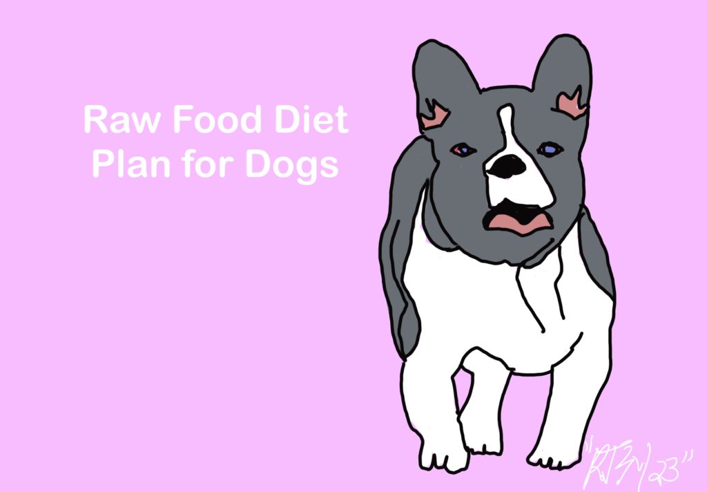 raw-food-diet-plan-for-dogs